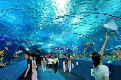 長(zhǎng)沙水族館vs祥龍魚(yú)場(chǎng)（長(zhǎng)沙水族館與祥龍魚(yú)場(chǎng)之間的差異需要明確兩者的區(qū)別） 全國(guó)水族館企業(yè)名錄 第3張