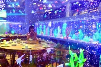 肇慶水族館vs祥龍魚場（探討肇慶水族館與祥龍魚場之前需要明確兩者之間的區(qū)別）