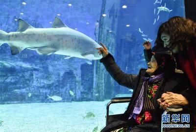 和田水族館vs祥龍魚場（和田水族館與祥龍魚場之間的差異之前，我們需要明確兩者的業(yè)務(wù)和特點(diǎn)） 全國水族館企業(yè)名錄 第4張