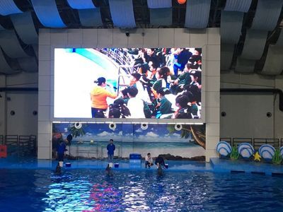 合肥水族館vs祥龍魚場（合肥水族館與祥龍魚場的區(qū)別） 全國水族館企業(yè)名錄 第5張