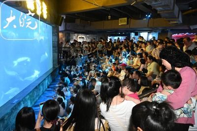 合肥水族館vs祥龍魚場（合肥水族館與祥龍魚場的區(qū)別） 全國水族館企業(yè)名錄 第3張