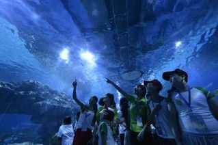 天水水族館vs祥龍魚場（天水市麥積區(qū)橋南亮點(diǎn)水族館是一個(gè)位于中國的水族館） 全國水族館企業(yè)名錄 第1張