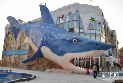 邯鄲水族館vs祥龍魚場（邯鄲市叢臺區(qū)七彩水族館和祥龍魚場的經(jīng)營產(chǎn)品對比） 全國水族館企業(yè)名錄 第3張