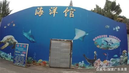 東莞水族館vs祥龍魚場(chǎng)（東莞水族館與祥龍魚場(chǎng)之間的區(qū)別）