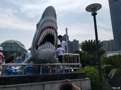 株洲水族館vs祥龍魚場(chǎng)（株洲水族館與祥龍魚場(chǎng)各有側(cè)重） 全國(guó)水族館企業(yè)名錄 第3張