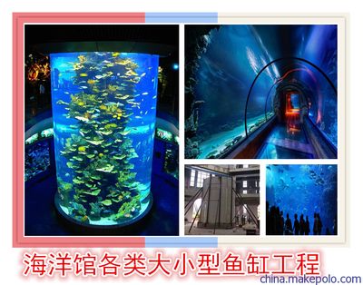 株洲水族館vs祥龍魚場(chǎng)（株洲水族館與祥龍魚場(chǎng)各有側(cè)重） 全國(guó)水族館企業(yè)名錄 第4張