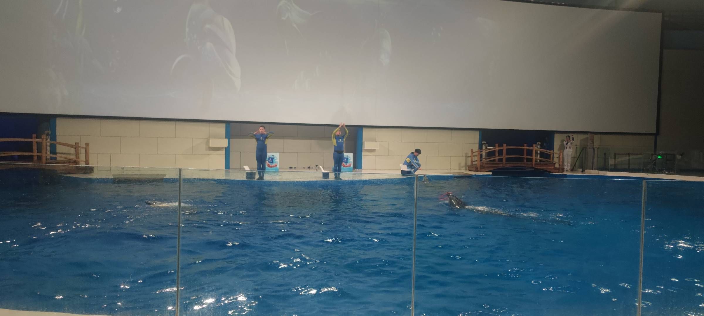 日照水族館vs祥龍魚場(chǎng)（日照水族館與祥龍魚場(chǎng)各有側(cè)重） 全國(guó)水族館企業(yè)名錄 第1張