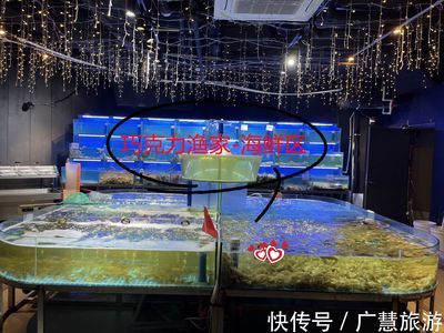 日照水族館vs祥龍魚場(chǎng)（日照水族館與祥龍魚場(chǎng)各有側(cè)重） 全國(guó)水族館企業(yè)名錄 第2張