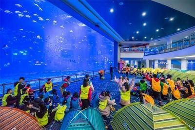 日照水族館vs祥龍魚場(chǎng)（日照水族館與祥龍魚場(chǎng)各有側(cè)重） 全國(guó)水族館企業(yè)名錄 第4張