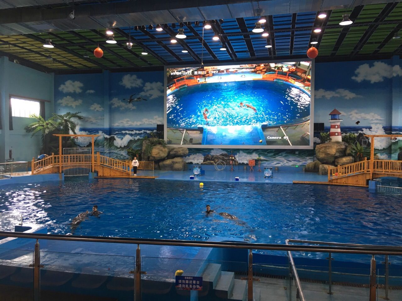 灞橋區(qū)水族館vs祥龍魚場(chǎng)（灞橋區(qū)水族館與祥龍魚場(chǎng)） 全國(guó)水族館企業(yè)名錄 第4張