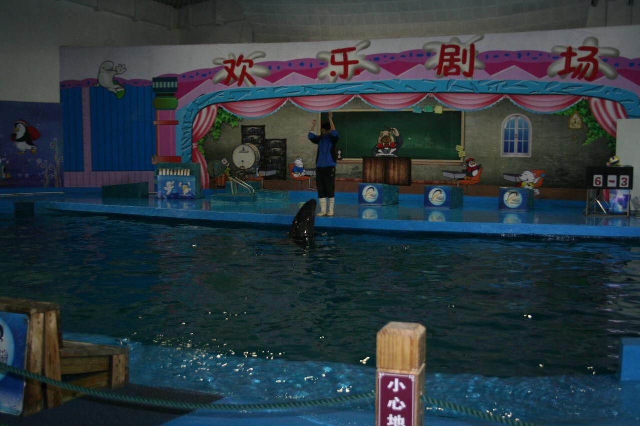 濮陽(yáng)水族館vs祥龍魚(yú)場(chǎng)（探討濮陽(yáng)水族館與祥龍魚(yú)場(chǎng)之間的差異，我們需要明確基本信息和特點(diǎn)） 全國(guó)水族館企業(yè)名錄 第2張