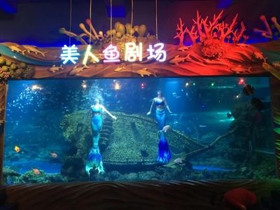 西安水族館vs祥龍魚場（西安水族館與祥龍魚場哪個好） 全國水族館企業(yè)名錄 第1張