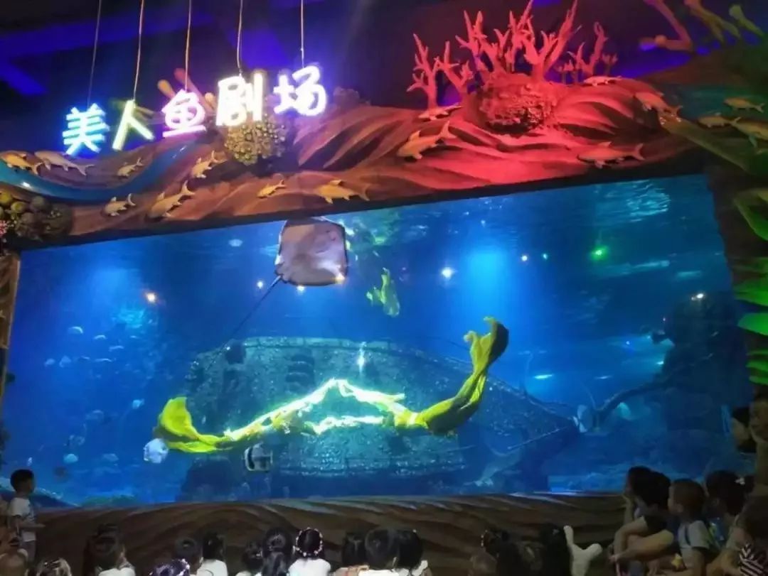 西安水族館vs祥龍魚場（西安水族館與祥龍魚場哪個好） 全國水族館企業(yè)名錄 第2張