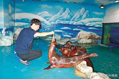 泰州水族館vs祥龍魚場（探討泰州水族館與祥龍魚場的區(qū)別之前需要明確兩者的主要業(yè)務和特點） 全國水族館企業(yè)名錄 第2張