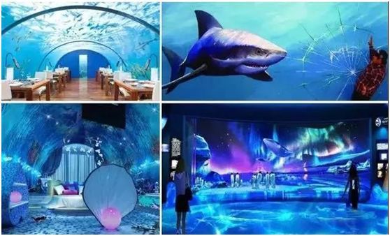 常德水族館vs祥龍魚場（常德水族館位于中國湖南省常德市） 全國水族館企業(yè)名錄 第2張