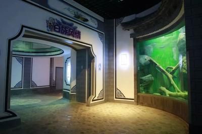 麗江水族館vs祥龍魚場（麗江水族館與祥龍魚場有什么區(qū)別？） 全國水族館企業(yè)名錄 第2張