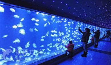 銅陵水族館vs祥龍魚場（銅陵水族館可能涉及觀賞魚的銷售和展示活動，銅陵水族館可能有白點(diǎn)） 全國水族館企業(yè)名錄 第4張