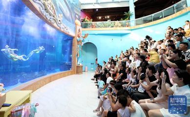 東營水族館vs祥龍魚場（東營水族館與祥龍魚場之間的差異之前需要明確兩者的主要業(yè)務(wù)和特點(diǎn)） 全國水族館企業(yè)名錄 第5張