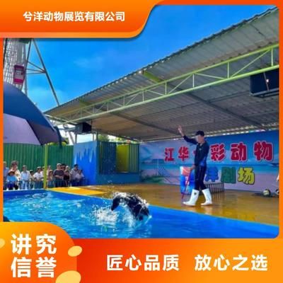 淮南水族館vs祥龍魚場(chǎng)（探討淮南水族館與祥龍魚場(chǎng)之間的差異時(shí)，我們可以從多個(gè)角度分析） 全國(guó)水族館企業(yè)名錄 第2張