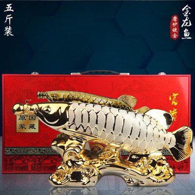 瀘州龍魚vs祥龍魚場（瀘州龍魚和祥龍魚場哪個(gè)好） 全國水族館企業(yè)名錄 第1張