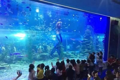 呼和浩特水族館vs祥龍魚場（呼和浩特水族館與祥龍魚場各有側重） 全國水族館企業(yè)名錄 第1張