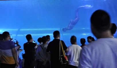 呼和浩特水族館vs祥龍魚場（呼和浩特水族館與祥龍魚場各有側重） 全國水族館企業(yè)名錄 第3張