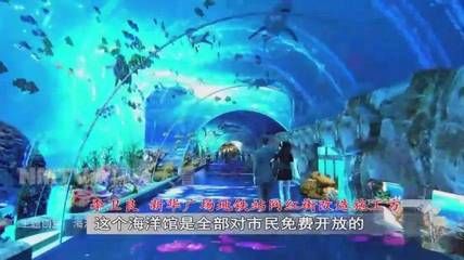 呼和浩特水族館vs祥龍魚場（呼和浩特水族館與祥龍魚場各有側重） 全國水族館企業(yè)名錄 第5張