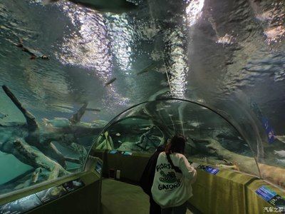 上海水族館vs祥龍魚場(chǎng)（上海水族館和祥龍魚場(chǎng)各有特色） 全國(guó)水族館企業(yè)名錄 第4張