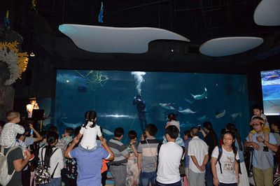 上海水族館vs祥龍魚場(chǎng)（上海水族館和祥龍魚場(chǎng)各有特色） 全國(guó)水族館企業(yè)名錄 第5張