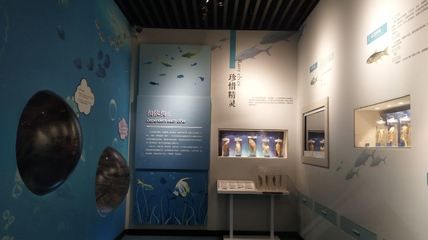 河池水族館vs祥龍魚場（河池水族館和祥龍魚場各有側重） 全國水族館企業(yè)名錄 第5張