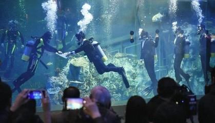 漯河水族館vs祥龍魚場（對比漯河水族館和祥龍魚場的相關(guān)信息） 全國水族館企業(yè)名錄 第1張