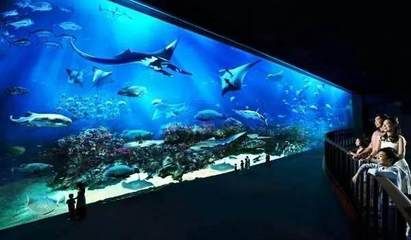 清遠(yuǎn)水族館vs祥龍魚場（探討清遠(yuǎn)水族館與祥龍魚場之間的差異之前需要明確兩者的基本信息和業(yè)務(wù)范圍） 全國水族館企業(yè)名錄 第3張