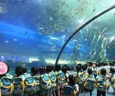 清遠(yuǎn)水族館vs祥龍魚場（探討清遠(yuǎn)水族館與祥龍魚場之間的差異之前需要明確兩者的基本信息和業(yè)務(wù)范圍） 全國水族館企業(yè)名錄 第2張