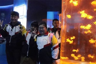 揚州水族館vs祥龍魚場（揚州水族館與祥龍魚場有什么區(qū)別？） 全國水族館企業(yè)名錄 第2張