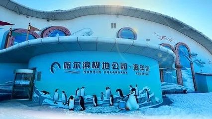 哈爾濱水族館vs祥龍魚場(chǎng)（哈爾濱水族館與祥龍魚場(chǎng)有什么區(qū)別？） 全國(guó)水族館企業(yè)名錄 第1張