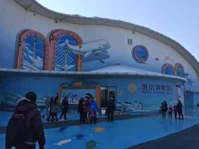 哈爾濱水族館vs祥龍魚場(chǎng)（哈爾濱水族館與祥龍魚場(chǎng)有什么區(qū)別？） 全國(guó)水族館企業(yè)名錄 第2張