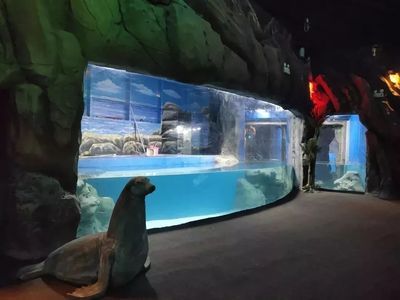 鄂爾多斯水族館vs祥龍魚場（內蒙古鄂爾多斯水族館和祥龍魚場和觀賞魚有什么關系） 全國水族館企業(yè)名錄 第1張