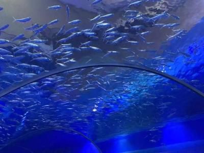 鄂爾多斯水族館vs祥龍魚場（內蒙古鄂爾多斯水族館和祥龍魚場和觀賞魚有什么關系） 全國水族館企業(yè)名錄 第4張