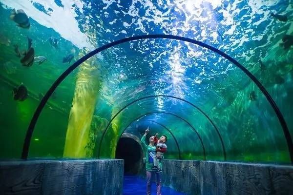 鄂爾多斯水族館vs祥龍魚場（內蒙古鄂爾多斯水族館和祥龍魚場和觀賞魚有什么關系） 全國水族館企業(yè)名錄 第5張