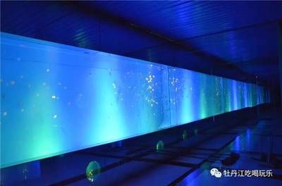 牡丹江水族館vs祥龍魚場（牡丹江水族館與祥龍魚場各有其特色和優(yōu)勢）