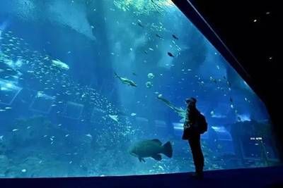 牡丹江水族館vs祥龍魚場（牡丹江水族館與祥龍魚場各有其特色和優(yōu)勢）