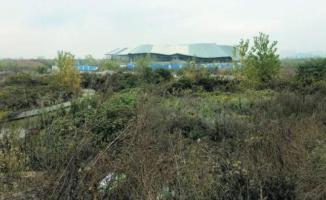 鎮(zhèn)江水族館vs祥龍魚場（鎮(zhèn)江水族館和祥龍魚場哪個好） 全國水族館企業(yè)名錄 第4張