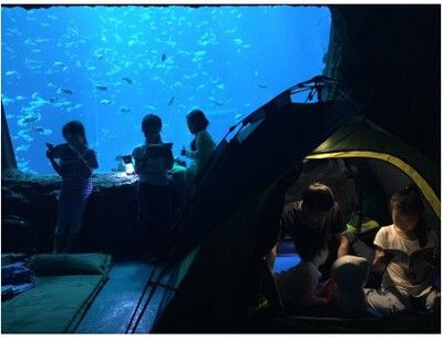 臺灣水族館vs祥龍魚場（臺灣水族館與祥龍魚場之間的差異之前，我們需要明確的搜索結果） 全國水族館企業(yè)名錄 第3張