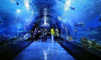 益陽水族館vs祥龍魚場（益陽水族館與祥龍魚場的區(qū)別） 全國水族館企業(yè)名錄 第3張