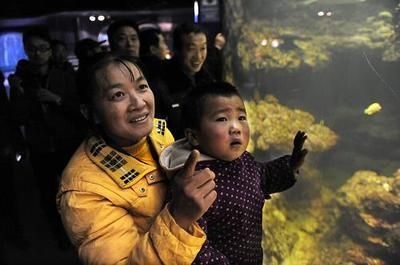 巴中水族館vs祥龍魚場（巴中水族館與祥龍魚場的具體差異） 全國水族館企業(yè)名錄 第4張