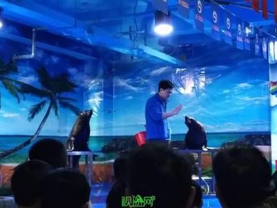 信陽水族館vs祥龍魚場（信陽水族館與祥龍魚場之間的差異之前，我們需要明確兩者的主要業(yè)務(wù)和服務(wù)對象） 全國水族館企業(yè)名錄 第3張