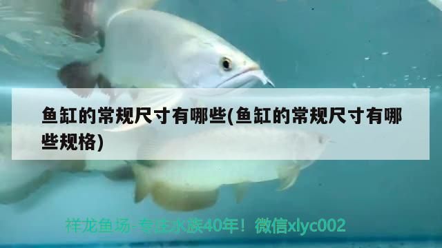 魚缸過濾器的安裝方法視頻（如何安裝魚缸過濾器） 魚缸百科 第3張