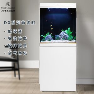 可麗愛魚缸btd怎么樣（可麗愛魚缸btd怎么樣,綜上所述，） 魚缸百科 第3張