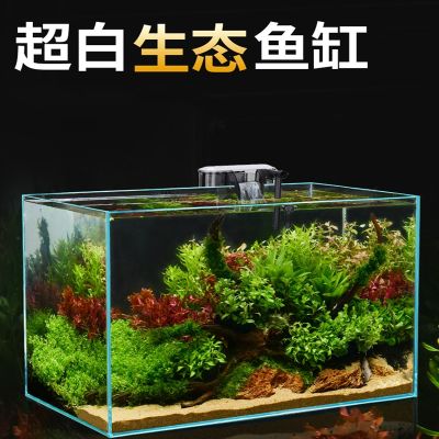 魚缸品牌十大排名（魚缸品牌十大排名魚缸品牌十大排名）