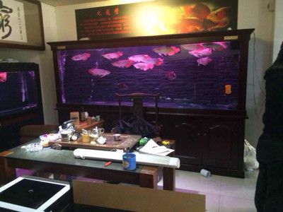 魚店魚缸定制（定制魚缸時需要注意的幾個關(guān)鍵點） 魚缸百科 第5張